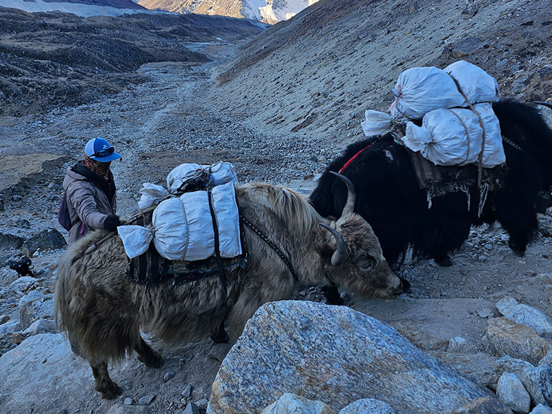 Trekking Campo Base Everet Nepal